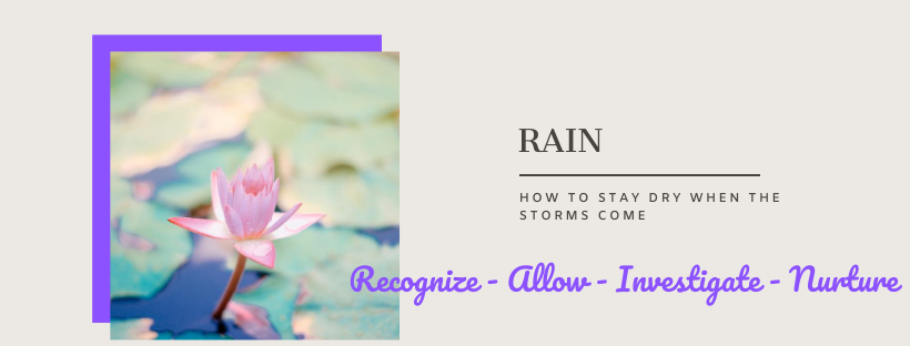 RAIN – How to Stay Dry When the Storms Come