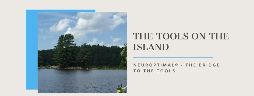 NeurOptimal® - The Bridge to Other Tools