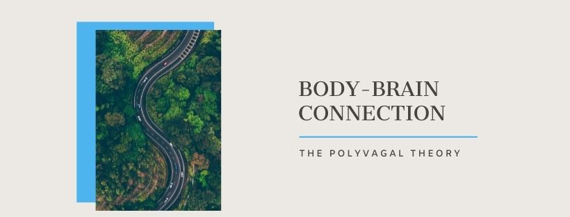 Body-Brain Connection: The Polyvagal Theory