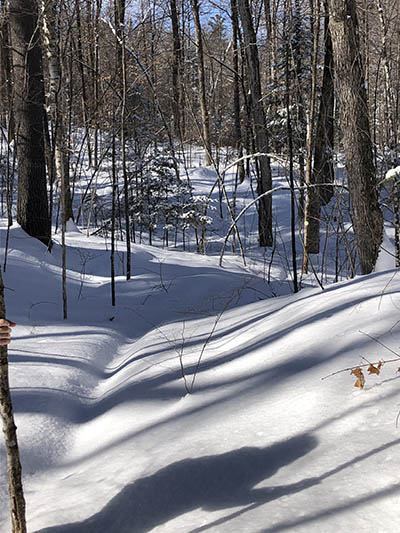 Snowy trail in the forest by white lake
