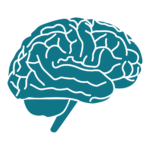 Icon representation of a brain for in-person NeurOptimal Sessions