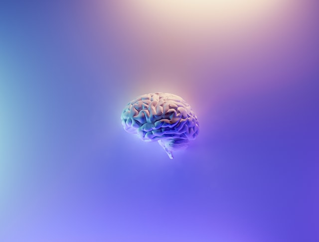 An image of a human brain on a purple background